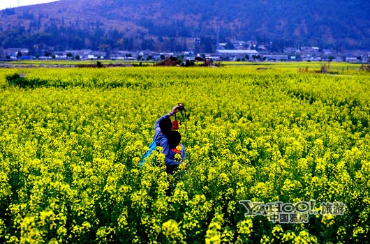 　　不論從人文氣息還是田園自然風(fēng)光,都值得我們?？?。(圖片來(lái)源:CFP)