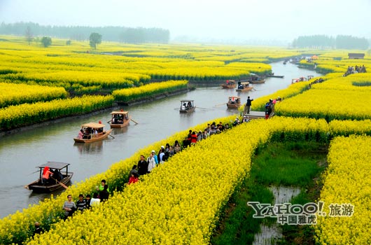 　　興化的油菜花最讓人心醉,因?yàn)闆](méi)有一個(gè)地方能把油菜花和水景結(jié)合得如此到位。(圖片來(lái)源:CFP)