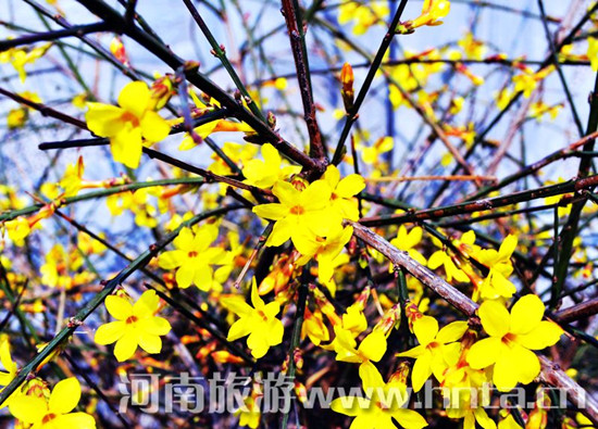 周末踏青游 鄭州周邊 自駕游 周末踏青游 鄭州周邊 自駕游