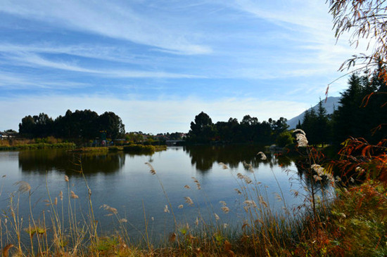 春城無(wú)處不飛花 昆明翠湖 春城無(wú)處不飛花 昆明翠湖