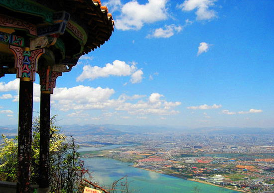 春城無(wú)處不飛花 昆明之美 春城無(wú)處不飛花 昆明之美