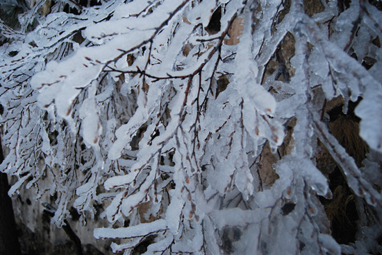 堯山景區(qū) 拍攝日期:4月20日 堯山景區(qū) 拍攝日期:4月20日