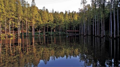 金秋時(shí)節(jié) 到信陽(yáng)雞公山享受慢旅游生活 金秋時(shí)節(jié) 到信陽(yáng)雞公山享受慢旅游生活