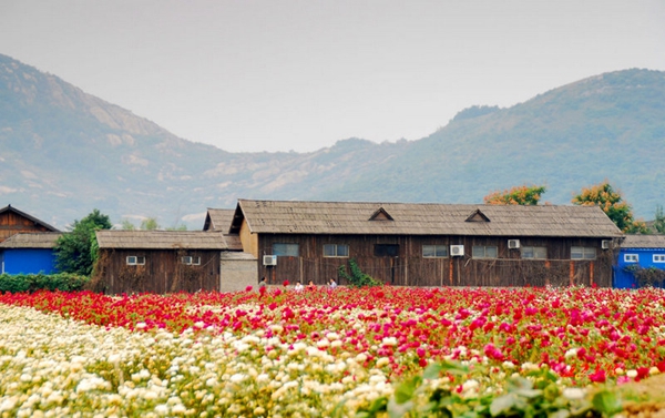 別樣蜜月，河南最適宜新婚度假的景區(qū)