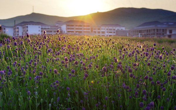 別樣蜜月，河南最適宜新婚度假的景區(qū)