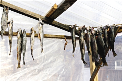 長白山腳下一家小餐館內(nèi)晾曬的冷水魚。