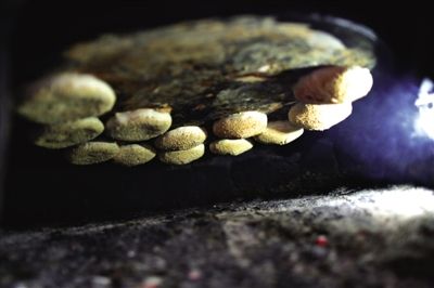 吊爐燒餅是黃驊最典型的面食之一，這種手藝在一些老院子里已經(jīng)傳承了上百年時(shí)間。