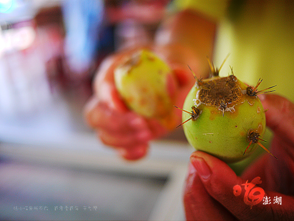 舌尖上外婆的澎湖灣 舌尖上外婆的澎湖灣