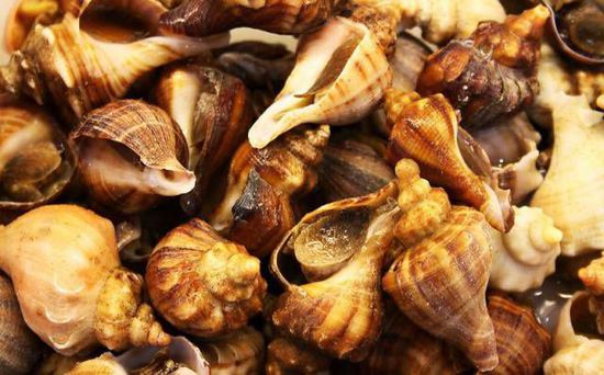 秋季最適合吃的海鮮是這10種 你吃對了嗎？