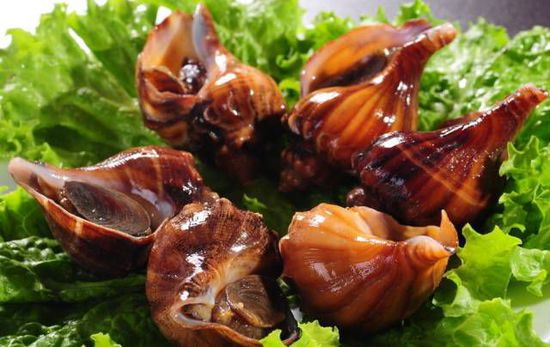 秋季最適合吃的海鮮是這10種 你吃對了嗎？