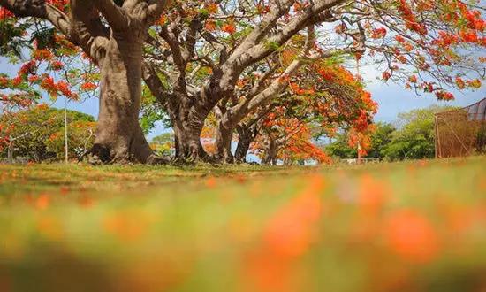 適合在冬天旅游的十個(gè)絕美海島！