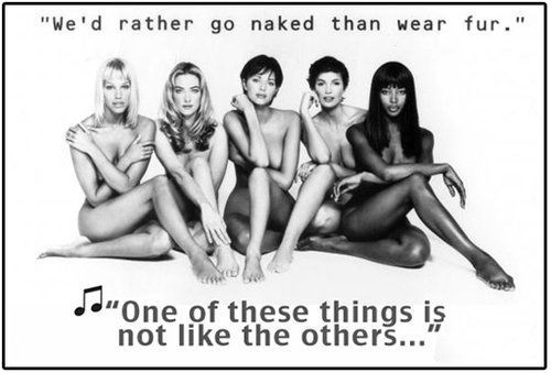 時尚圈第一組群?？棺h皮草大片