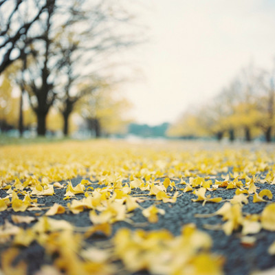 金牛座的愛情弱勢 金牛座的愛情弱勢