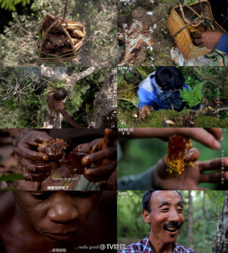 網(wǎng)友上傳《舌尖2》與BBC視頻截圖對(duì)比照 網(wǎng)友上傳《舌尖2》與BBC視頻截圖對(duì)比照