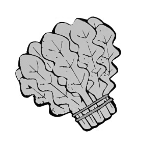 雪后菜價瘋漲15倍？沒恁夸張 元旦豬肉雞蛋或漲價