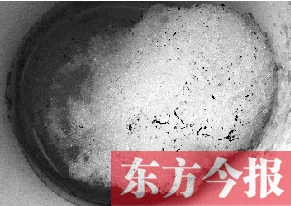 白雪融化時 灰霾現了形 兩會上“治霾”提案井噴 白雪融化時 灰霾現了形 兩會上“治霾”提案井噴