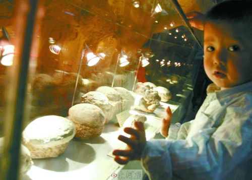 恐龍蛋，這回見識(shí)了吧！