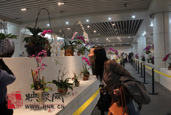 “溫馨九九重陽(yáng)節(jié) 陪著父母去游園”活動(dòng)圓滿舉行 “溫馨九九重陽(yáng)節(jié) 陪著父母去游園”活動(dòng)圓滿舉行