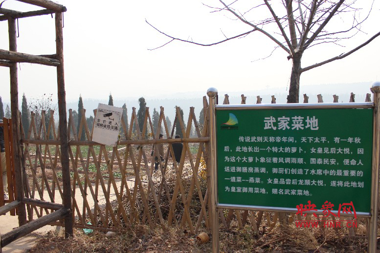 武家菜地就是這，據(jù)說里面有個(gè)特大的蘿卜