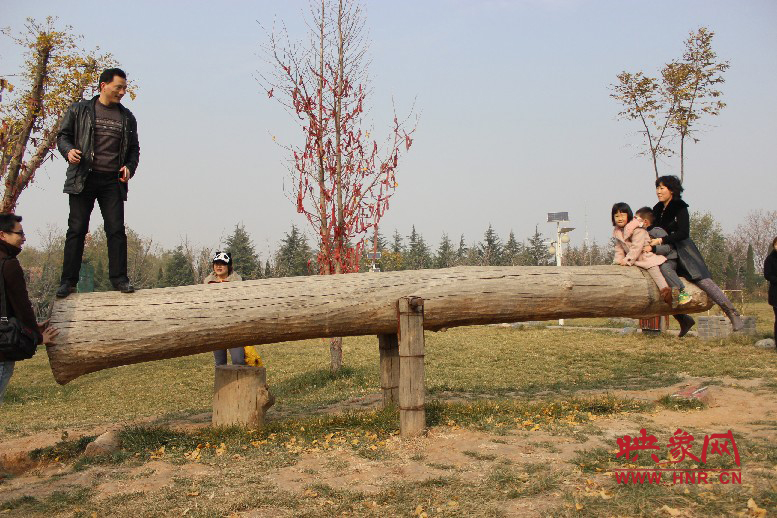 巨大的蹺蹺板，一棵樹。。?？赐娴亩噜? oldsrc=