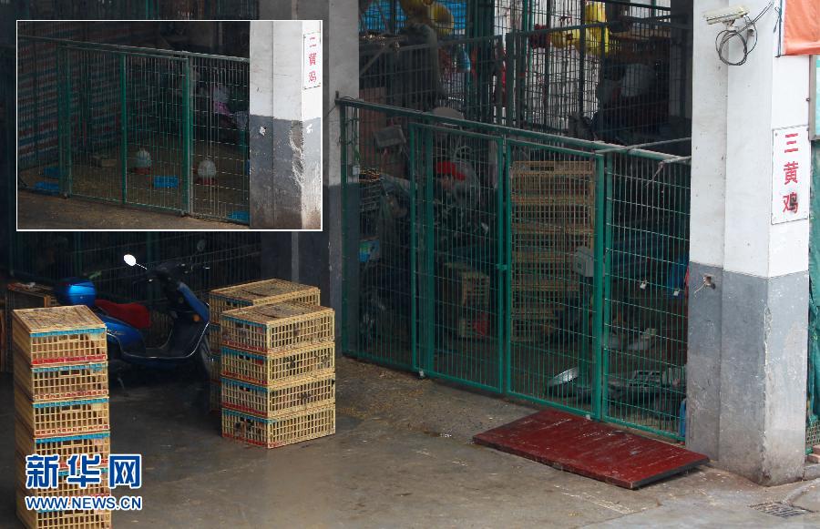 上海6日起暫?；钋萁灰?關(guān)閉所有活禽交易市場