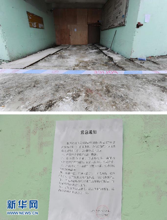 上海6日起暫?；钋萁灰?關(guān)閉所有活禽交易市場