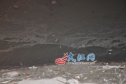 19日晚上的玉帶河，紅色河水變回灰綠色。