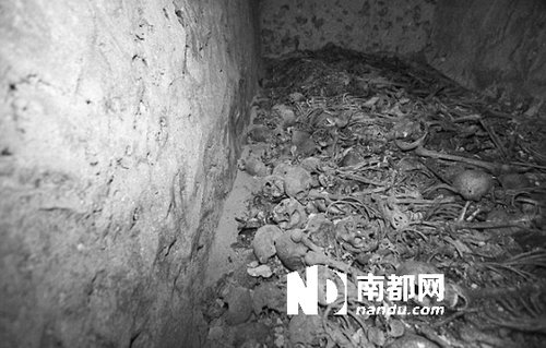 　5月29日，在以色列特拉維夫市雅法地區(qū)，一處集體墳?zāi)贡话l(fā)現(xiàn)。