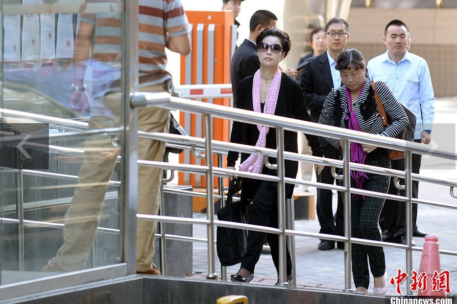 夢鴿現(xiàn)身海淀法院。中新網(wǎng)記者 金碩 攝