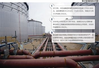 審計發(fā)現(xiàn)的部分問題 審計發(fā)現(xiàn)的部分問題