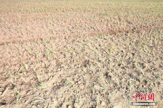 2014年7月31日早晨，浙江紹興市區(qū)蔬菜批發(fā)市場旁邊的土地已經(jīng)發(fā)生開裂。