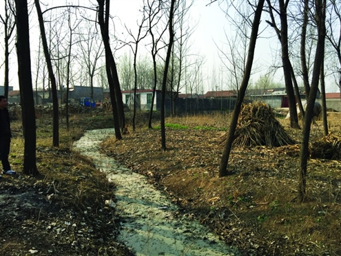 486臺兒莊戰(zhàn)役將士埋骨荒野 紀念設施或年內(nèi)落成 486臺兒莊戰(zhàn)役將士埋骨荒野 紀念設施或年內(nèi)落成