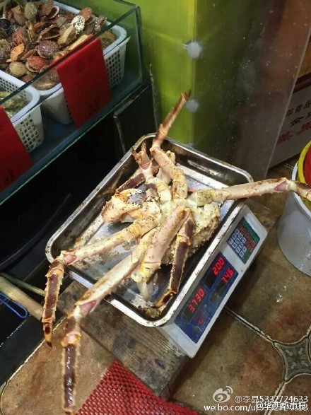 網(wǎng)友提供圖片。