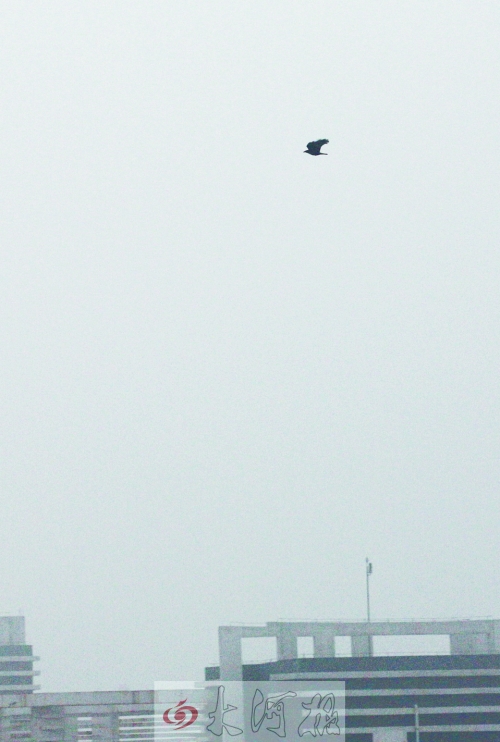 全省35個縣市發(fā)布惡劣天氣預(yù)警信號，其中15個發(fā)布大霧紅色預(yù)警