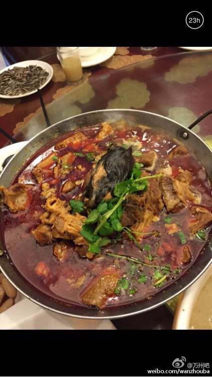 紅燒牛肉中的老鼠 紅燒牛肉中的老鼠