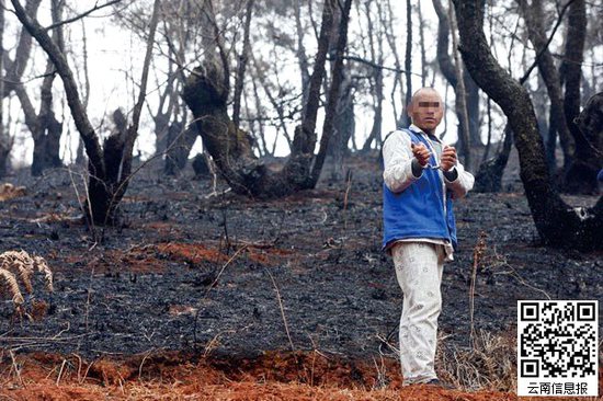 山林被燒得滿(mǎn)目瘡痍。