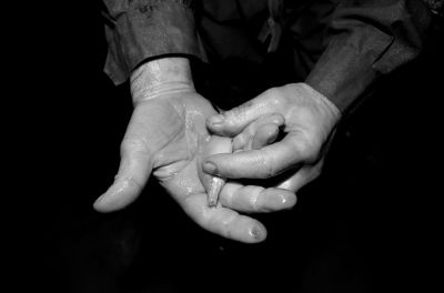 圖為科考人員發(fā)現的洞穴動物（3月2日攝）。