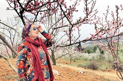 公式“時(shí)尚奶奶”的賞花照，收獲了好多人的點(diǎn)贊。 受訪者供圖