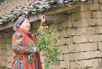 公式“時(shí)尚奶奶”的賞花照，收獲了好多人的點(diǎn)贊。 受訪者供圖