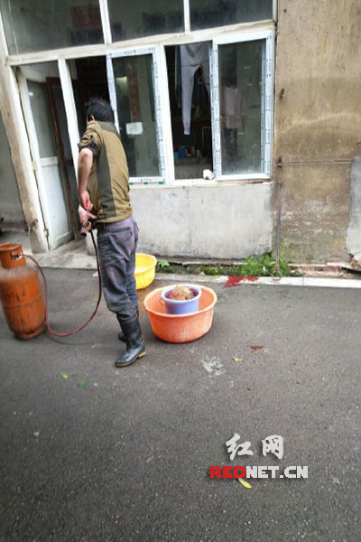 5月8日，男子在校園里殺狗，地上殘留一塊血跡。目擊者供圖。