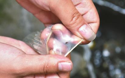 避孕套存在小孔。