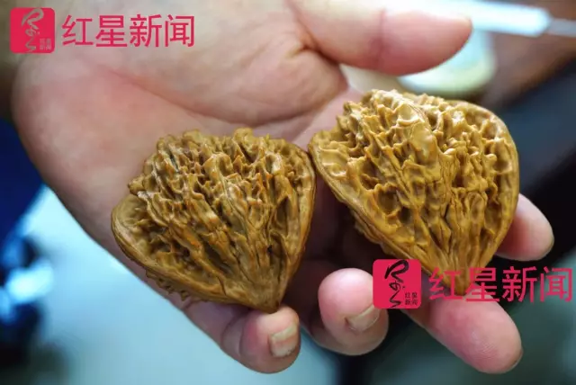 文玩核桃遇冷由幾萬(wàn)一對(duì)降到5元沒(méi)人要？商戶否認(rèn)