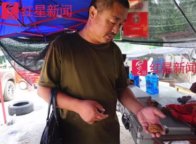 文玩核桃遇冷由幾萬(wàn)一對(duì)降到5元沒(méi)人要？商戶否認(rèn)