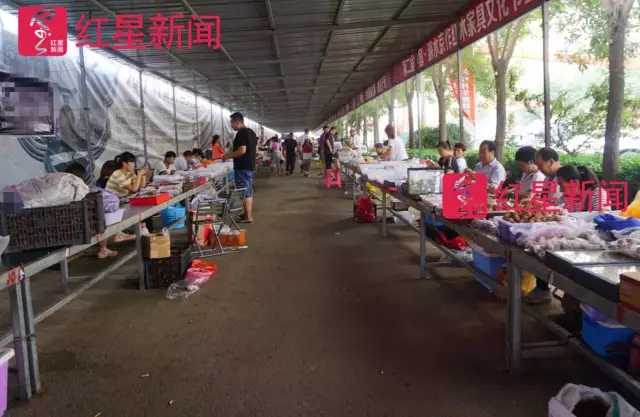 文玩核桃遇冷由幾萬(wàn)一對(duì)降到5元沒(méi)人要？商戶否認(rèn)