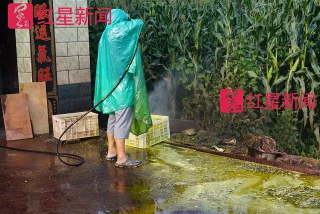 文玩核桃遇冷由幾萬(wàn)一對(duì)降到5元沒(méi)人要？商戶否認(rèn)