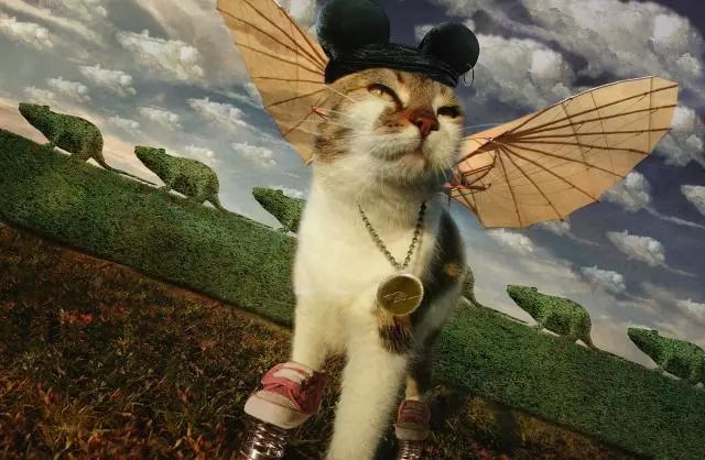 一只虛擬寵物貓叫價(jià)13億元？云養(yǎng)貓成真