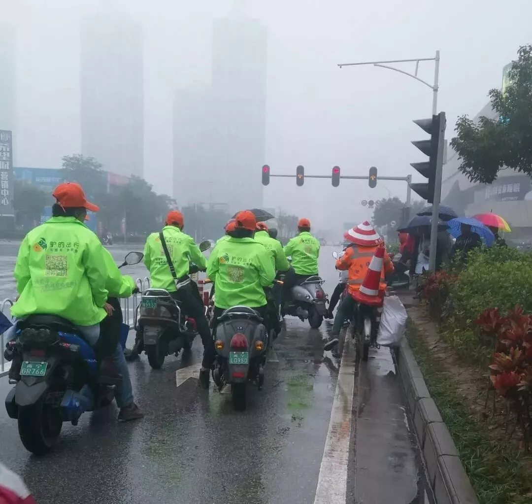 出門打驢？ 南寧“滴滴打驢”被緊急叫停