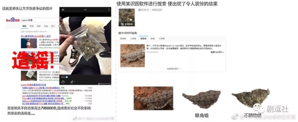 PGone又教給我們一個新詞：虐粉。