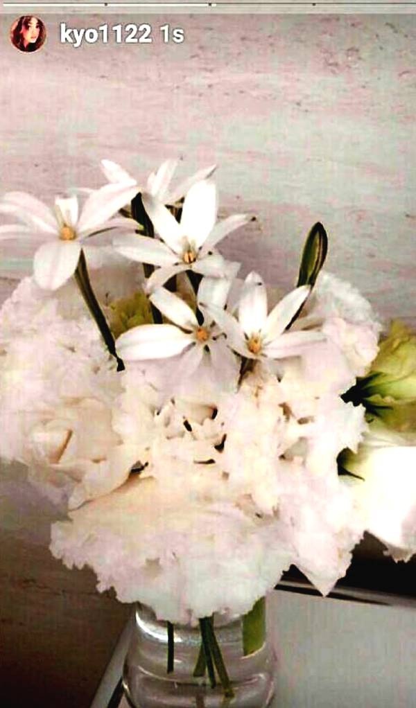 鮮花滿屋 鮮花滿屋