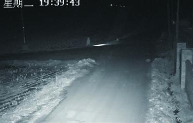 10歲男孩一個(gè)人打著手電走在鄉(xiāng)間公路上。 警方供圖